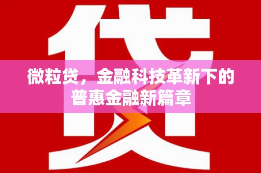 红安微粒贷，金融科技革新下的普惠金融新篇章