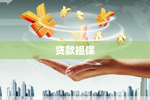 红安贷款担保
