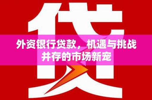 红安外资银行贷款，机遇与挑战并存的市场新宠