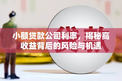 红安小额贷款公司利率，揭秘高收益背后的风险与机遇