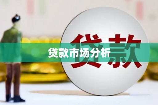 红安贷款市场分析