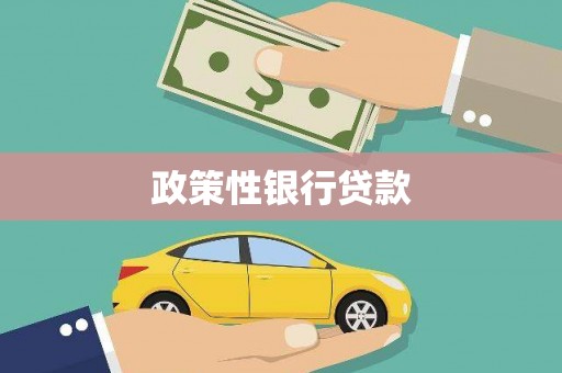 红安政策性银行贷款