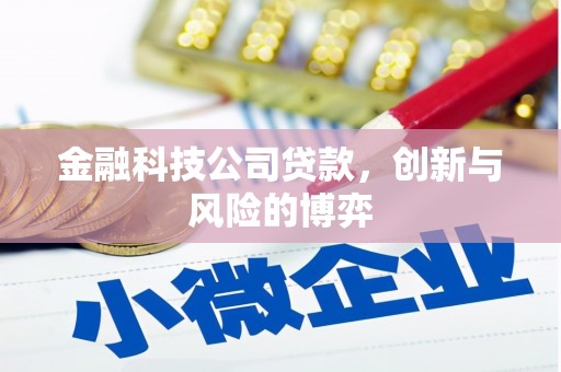 红安金融科技公司贷款，创新与风险的博弈