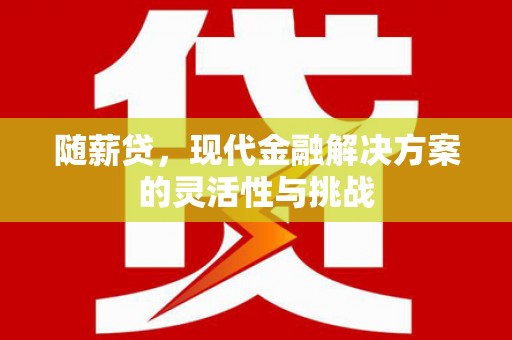 红安随薪贷，现代金融解决方案的灵活性与挑战