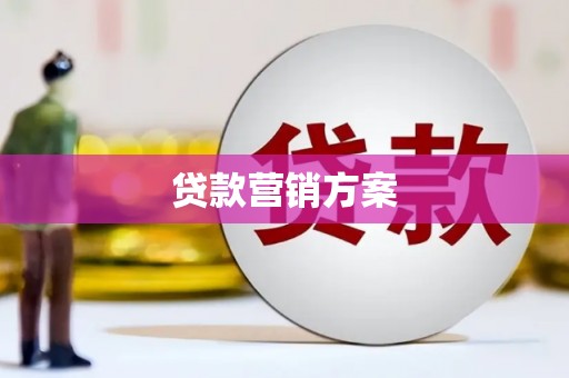红安贷款营销方案