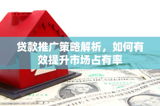 红安贷款推广策略解析，如何有效提升市场占有率