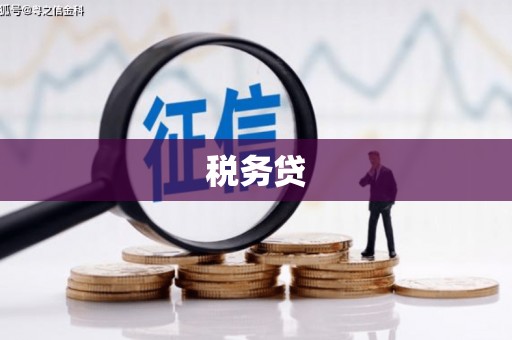 红安税务贷