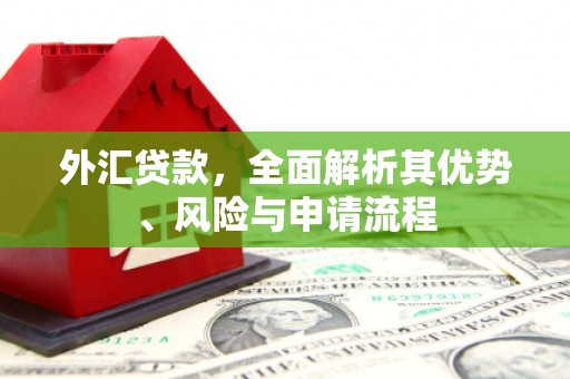 红安外汇贷款，全面解析其优势、风险与申请流程