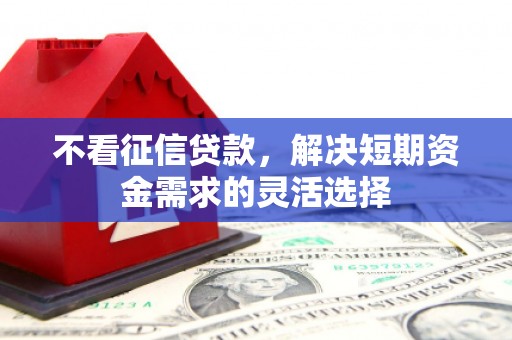 红安不看征信贷款，解决短期资金需求的灵活选择