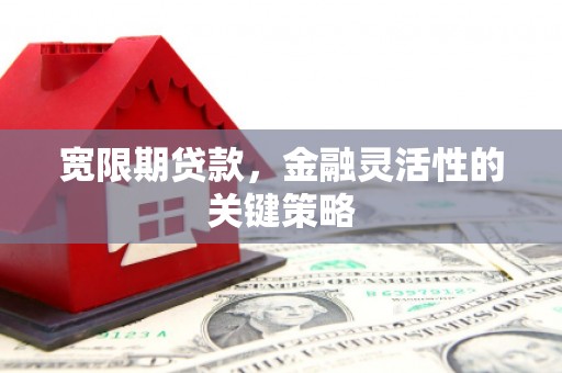 红安宽限期贷款，金融灵活性的关键策略