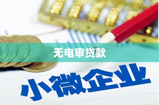 红安无电审贷款