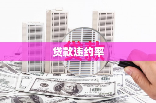 红安贷款违约率