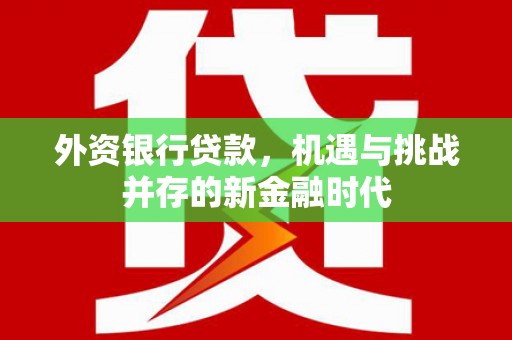 红安外资银行贷款，机遇与挑战并存的新金融时代