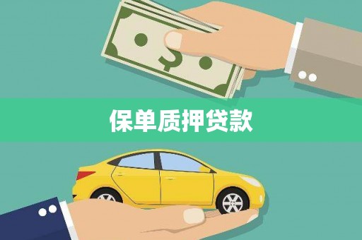 红安保单质押贷款