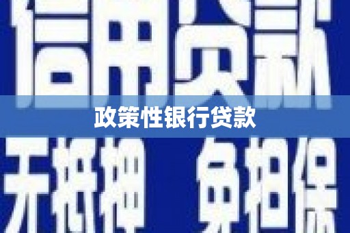 红安政策性银行贷款