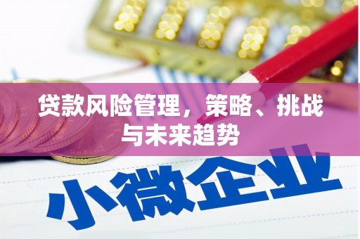 红安贷款风险管理，策略、挑战与未来趋势