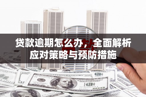 红安贷款逾期怎么办，全面解析应对策略与预防措施