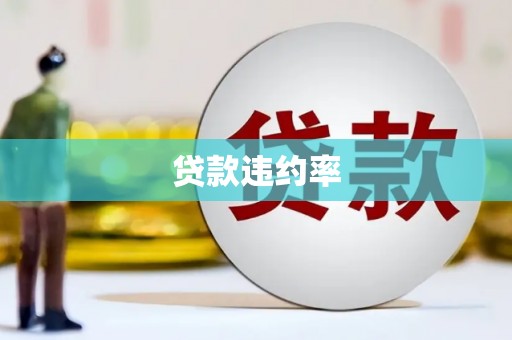 红安贷款违约率