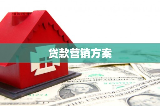 红安贷款营销方案