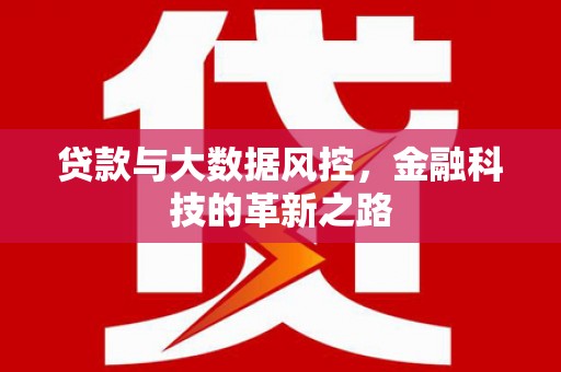 红安贷款与大数据风控，金融科技的革新之路