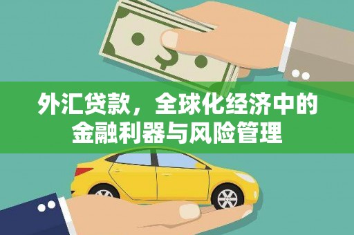 红安外汇贷款，全球化经济中的金融利器与风险管理