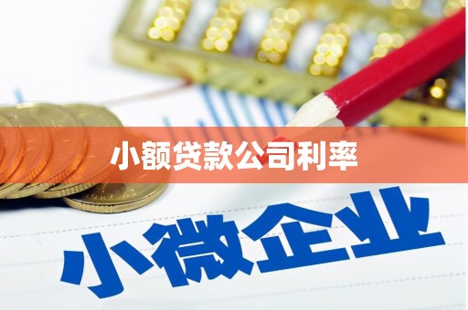 红安小额贷款公司利率