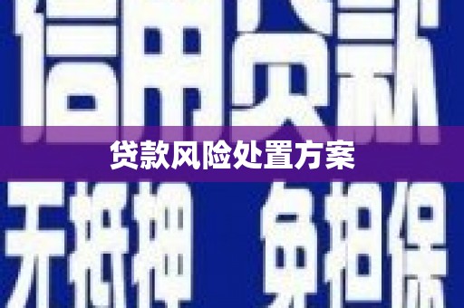 红安贷款风险处置方案