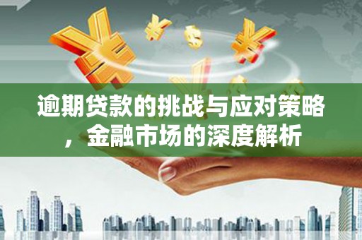 红安逾期贷款的挑战与应对策略，金融市场的深度解析