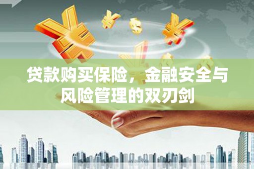 红安贷款购买保险，金融安全与风险管理的双刃剑