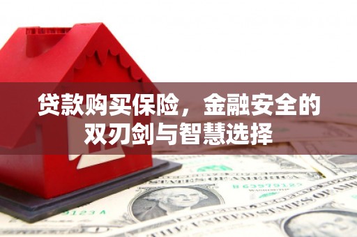 红安贷款购买保险，金融安全的双刃剑与智慧选择