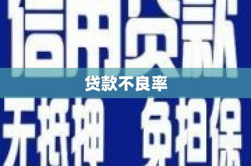 红安贷款不良率