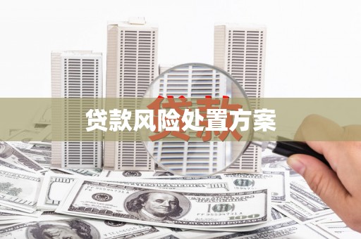 红安贷款风险处置方案