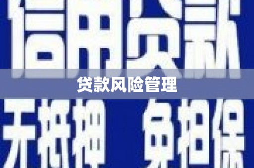 红安贷款风险管理