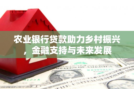 红安农业银行贷款助力乡村振兴，金融支持与未来发展