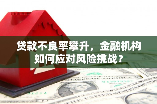 红安贷款不良率攀升，金融机构如何应对风险挑战？
