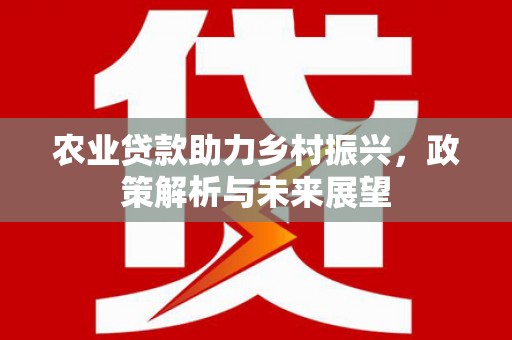 红安农业贷款助力乡村振兴，政策解析与未来展望