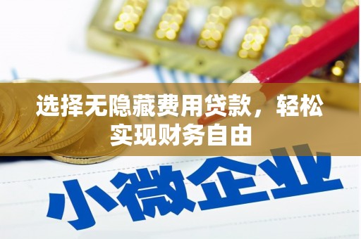 红安选择无隐藏费用贷款，轻松实现财务自由