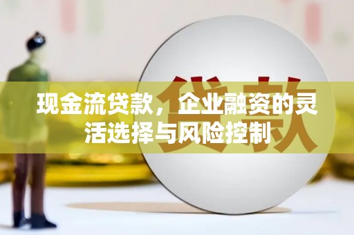 红安现金流贷款，企业融资的灵活选择与风险控制