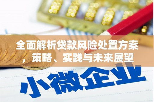 红安全面解析贷款风险处置方案，策略、实践与未来展望