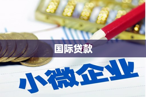 红安国际贷款