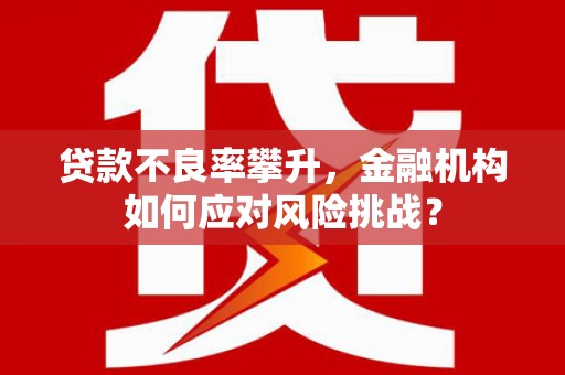 红安贷款不良率攀升，金融机构如何应对风险挑战？