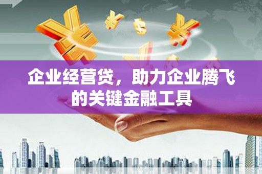 红安企业经营贷，助力企业腾飞的关键金融工具