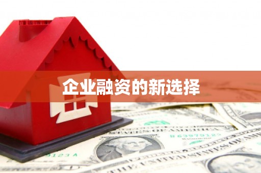 红安企业融资的新选择