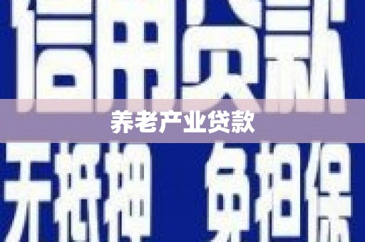 红安养老产业贷款