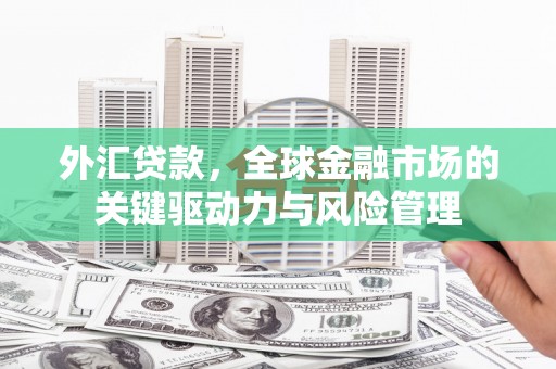 红安外汇贷款，全球金融市场的关键驱动力与风险管理