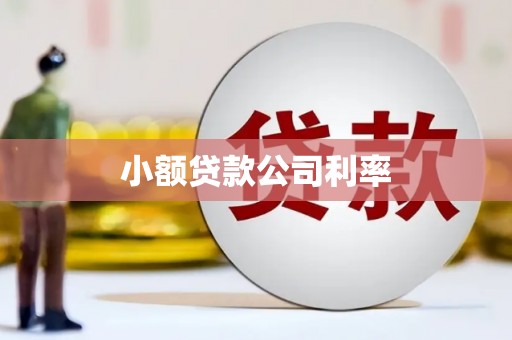 红安小额贷款公司利率