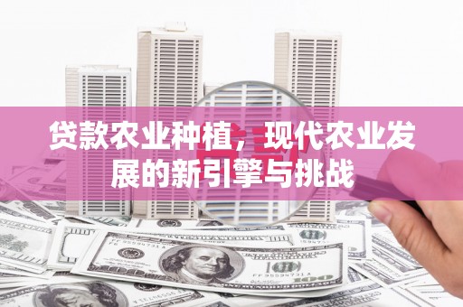 红安贷款农业种植，现代农业发展的新引擎与挑战