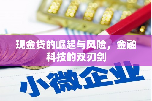 红安现金贷的崛起与风险，金融科技的双刃剑