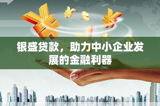 红安银盛贷款，助力中小企业发展的金融利器