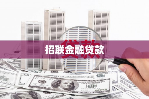 红安招联金融贷款